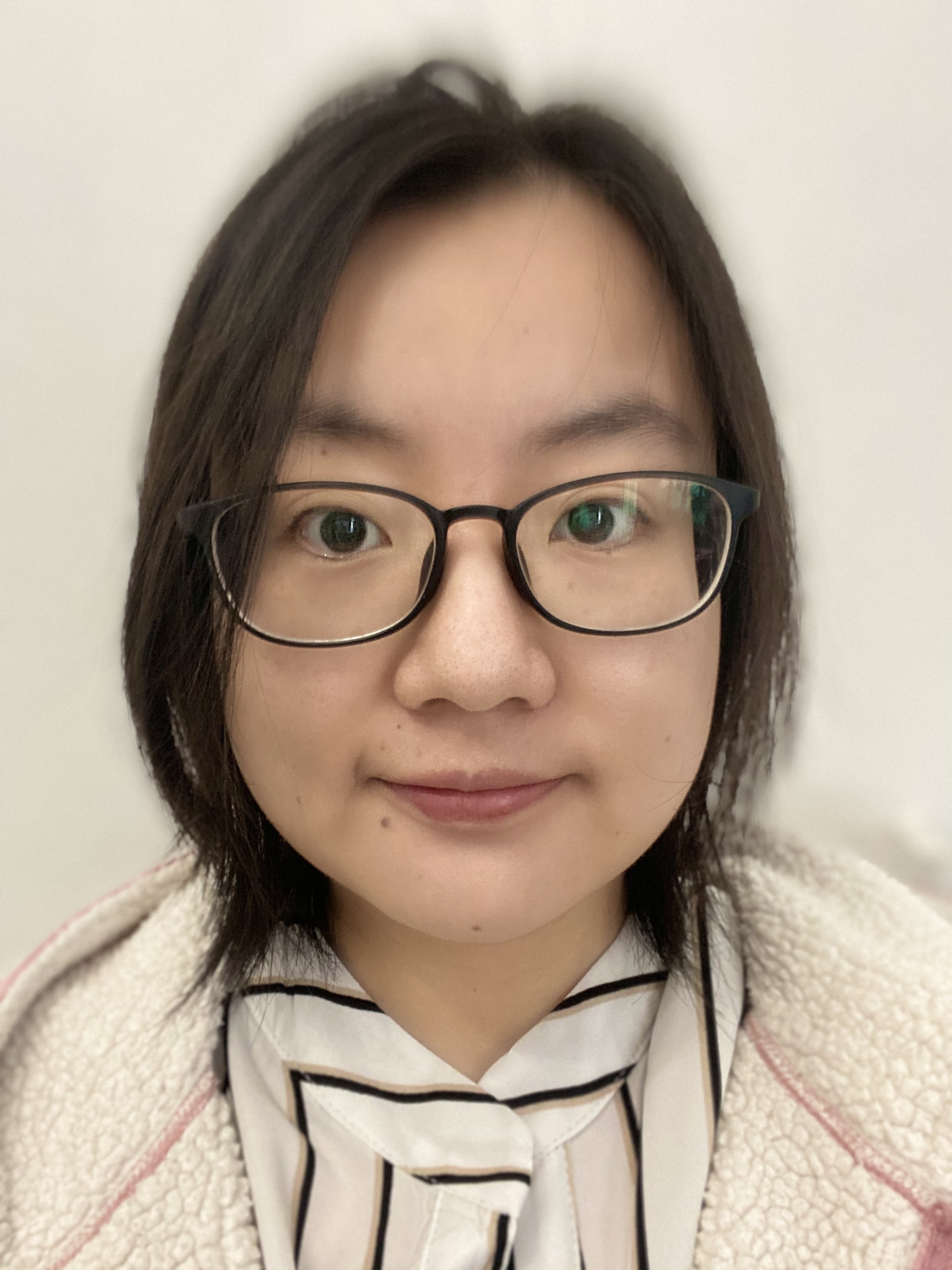 Shizhe Chen